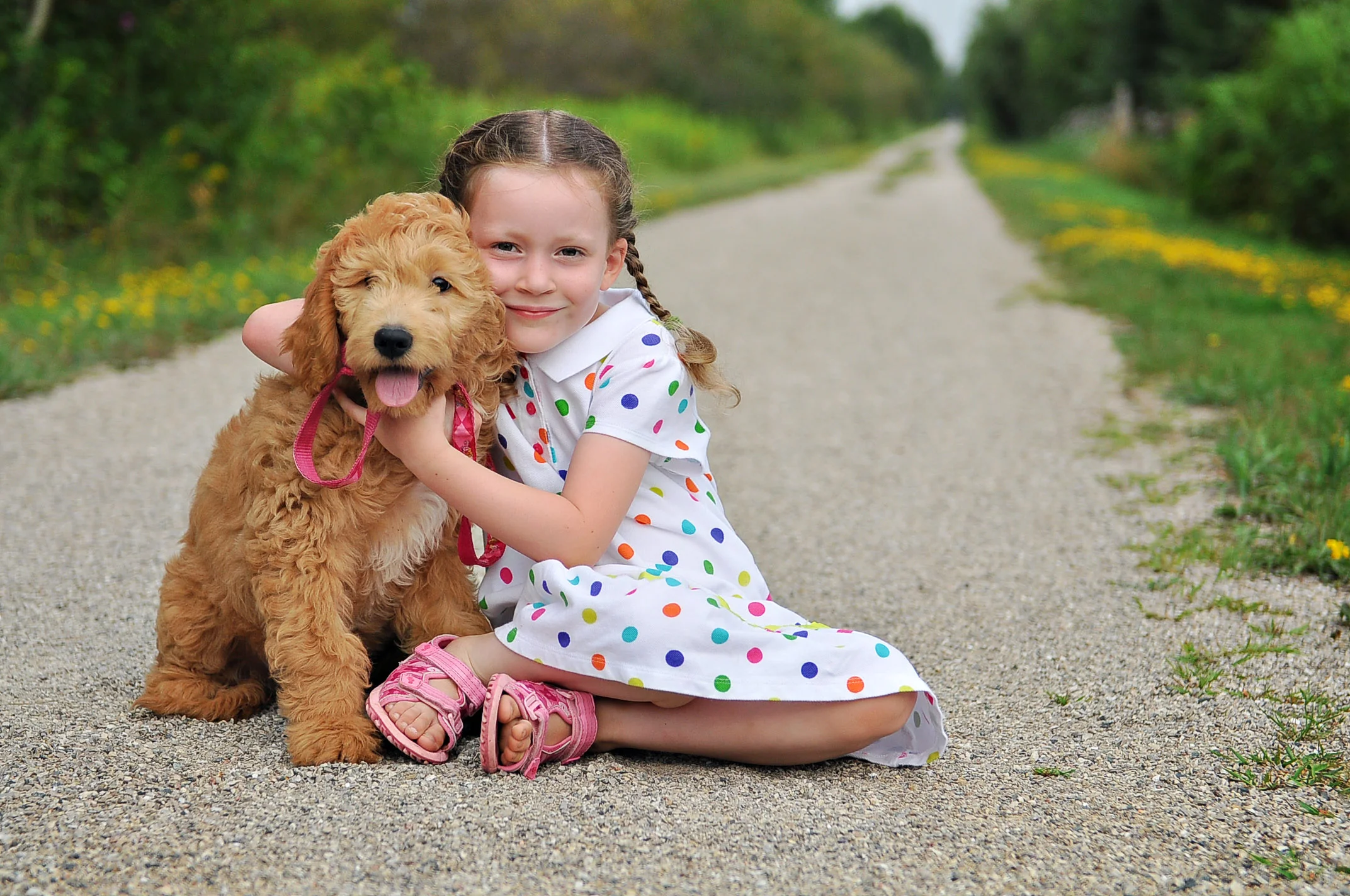 Young girl with golden doodle puppy on country path